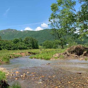 Madison County stream